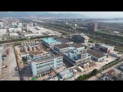 लघु वीडियो